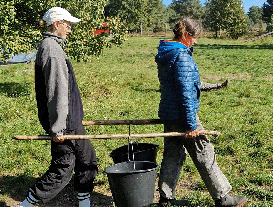Abwaschwasser vorbereiten