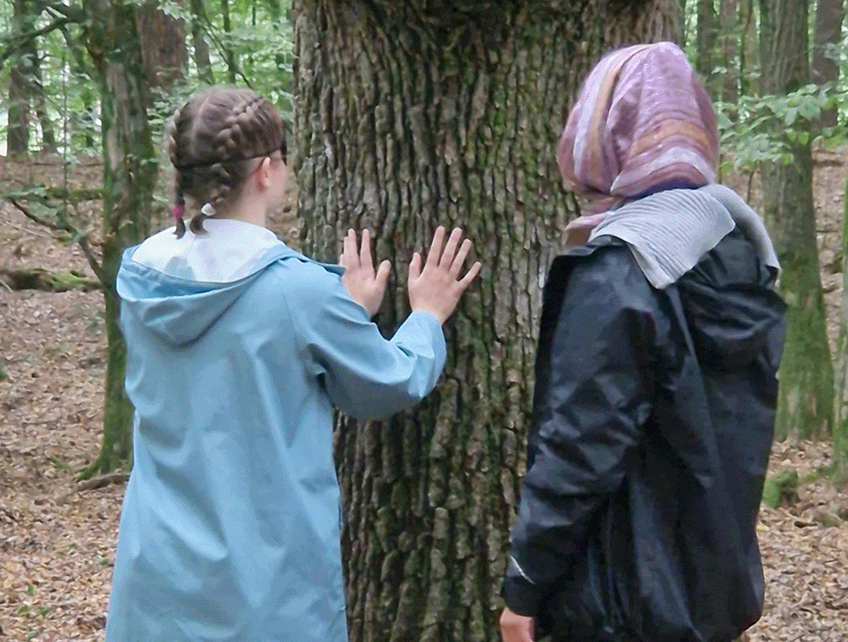 Gemeinsame Besprechungen, Spiele, Wahrnehmungsübungen