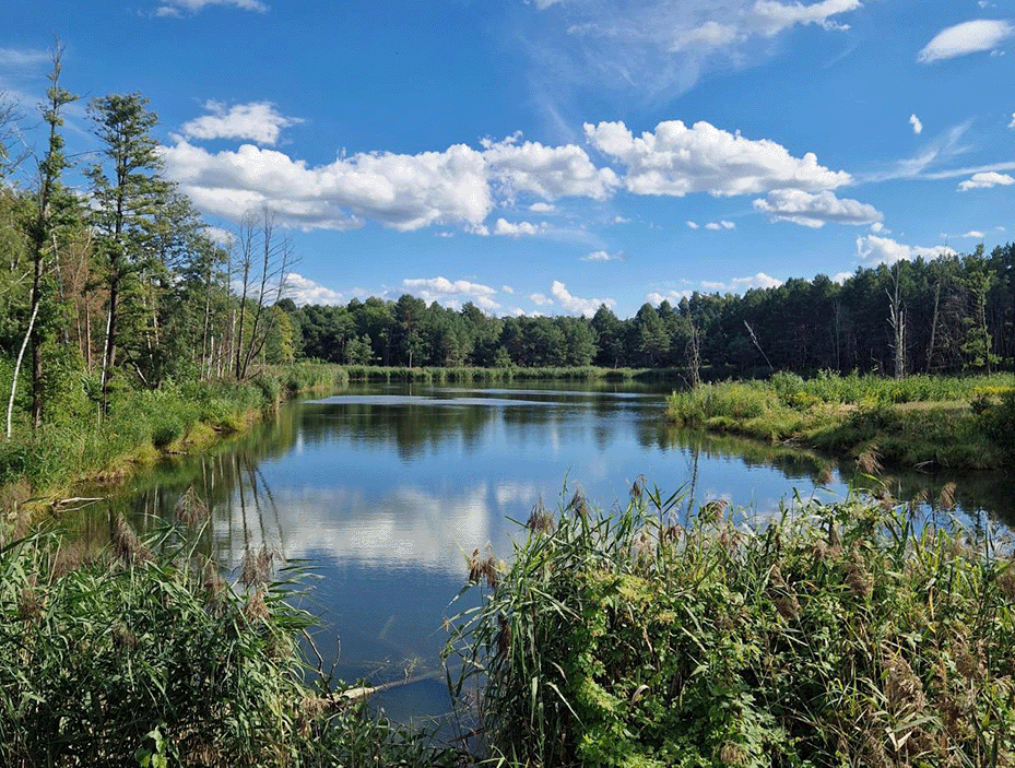 Die Natur der Umgebung und die Seen