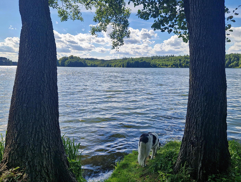 Die Natur der Umgebung und die Seen