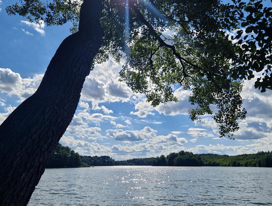 Die Natur der Umgebung und die Seen