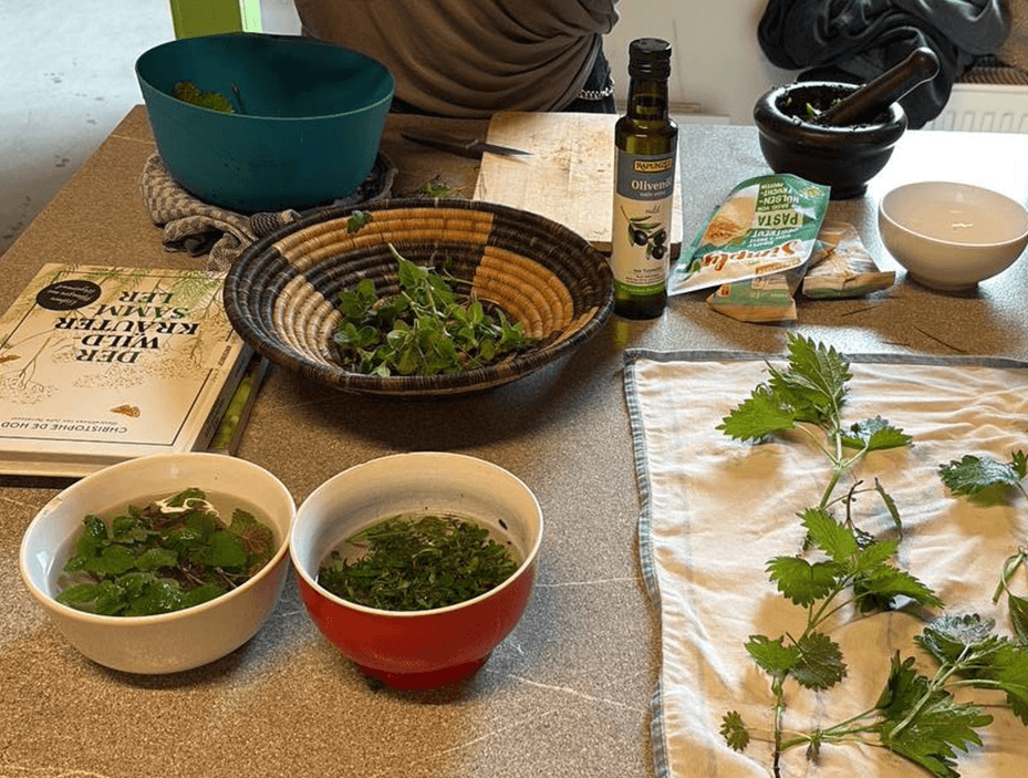 Wildkrautprojekt