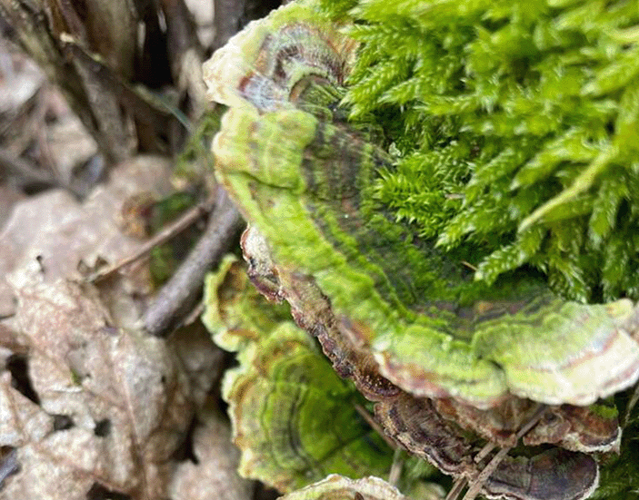 freie fachschule ausbildung erzieher Nachhaltigkeit