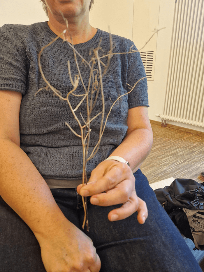 Die Qualität der Konsonanten der Sprache in Naturmaterialien wieder entdeckt