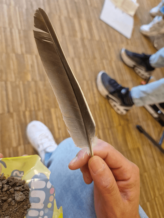 Die Qualität der Konsonanten der Sprache in Naturmaterialien wieder entdeckt