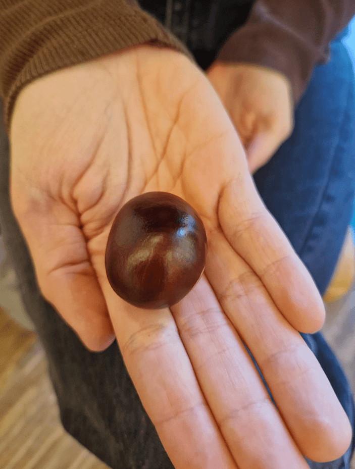 Die Qualität der Konsonanten der Sprache in Naturmaterialien wieder entdeckt