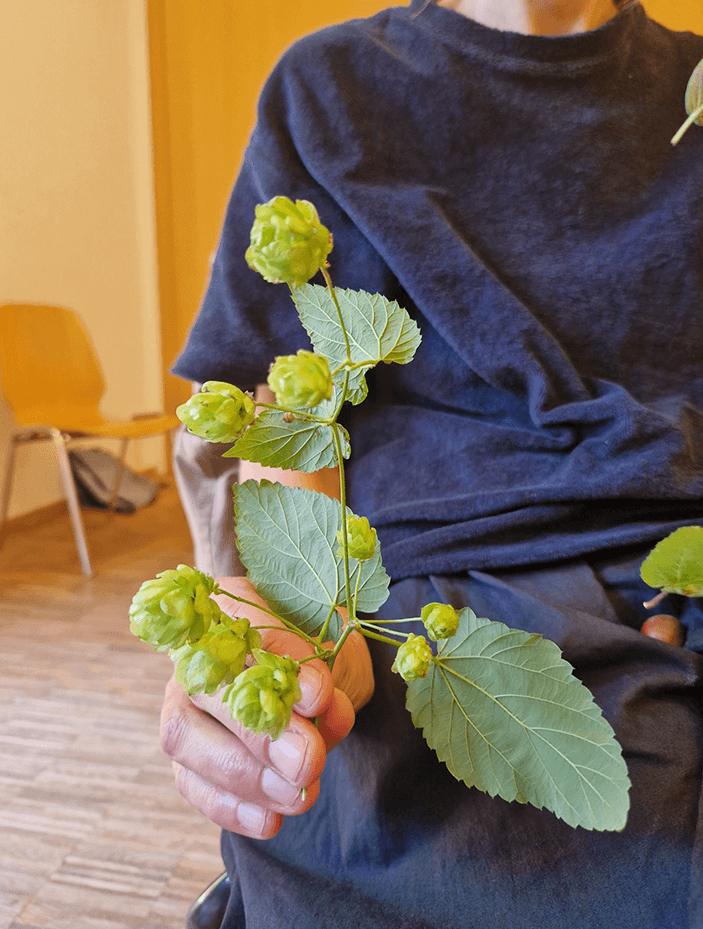 Die Qualität der Konsonanten der Sprache in Naturmaterialien wieder entdeckt